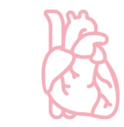 icon: Herzerkrankungen, Herz-Kreislauf-Erkrankungen